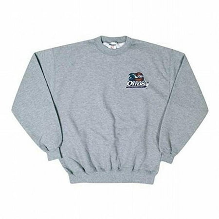 Missouri River Otters - Embroidered Logo Grey Youth Sweatshirt