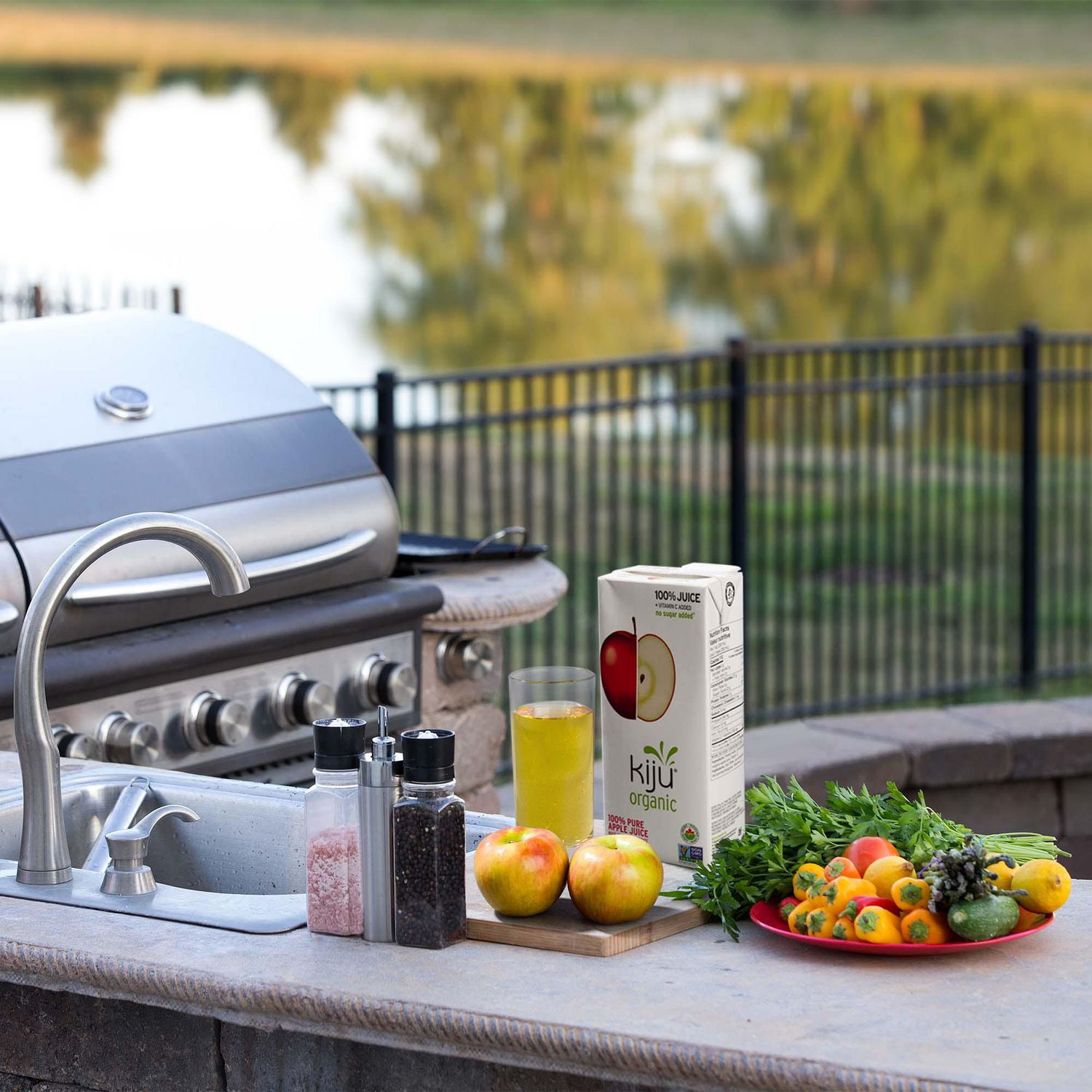 Jus de pomme biologique 100 % pur Kiju 1 litre