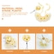 thumbnail image 3 of Houderco 1Jgo Amarillo Collar Y Falda De Malla Para Mascotas Accesorios Veraniegos, 3 of 8