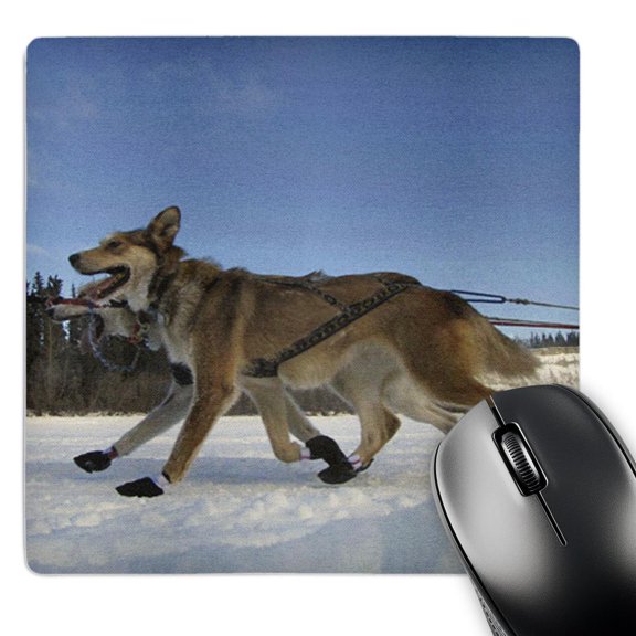 3dRose, Yukon Quest Sled Dogs on the Takhini River, MousePad