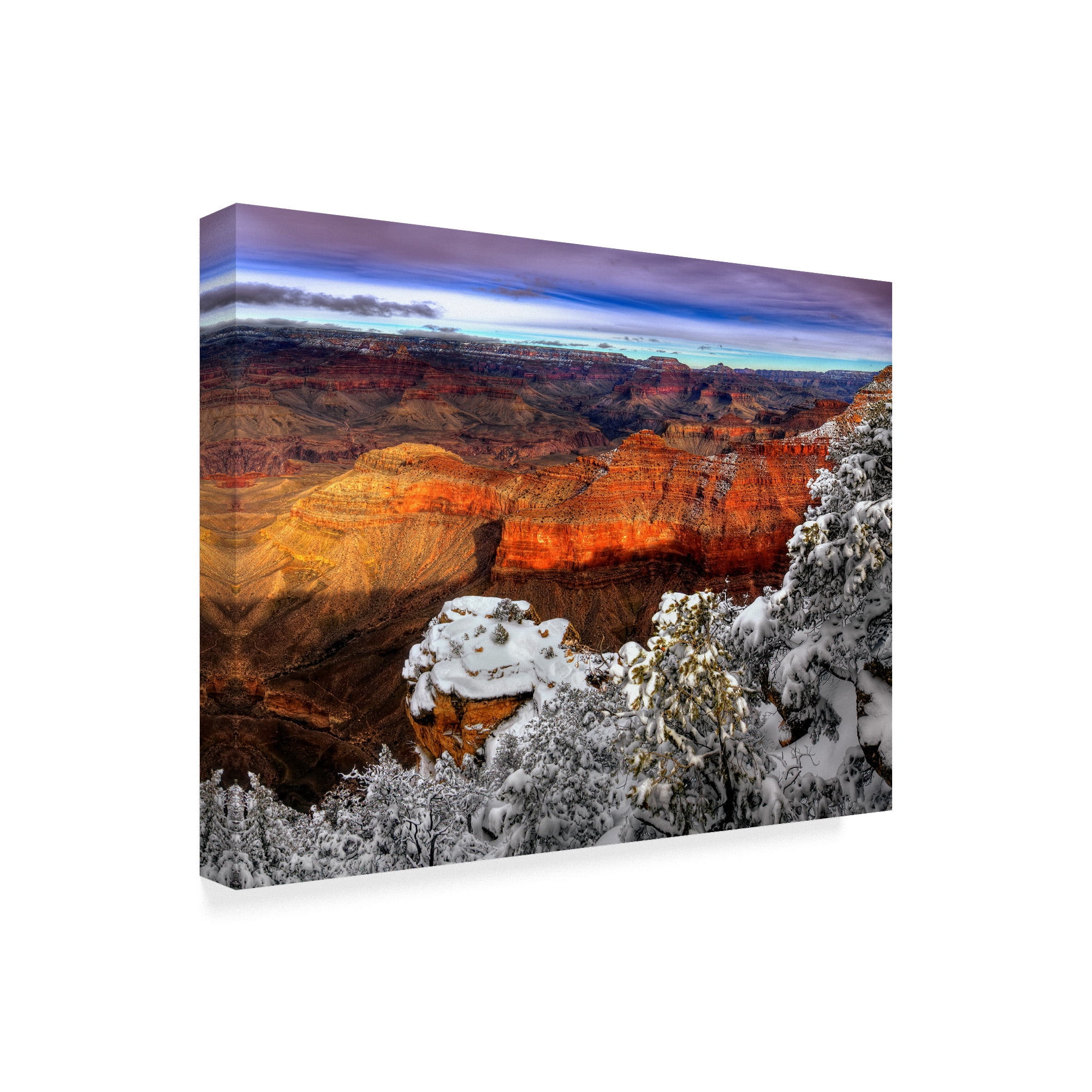 Trademark Fine Art 'Snowy Grand Canyon IV' Canvas Art by David Drost
