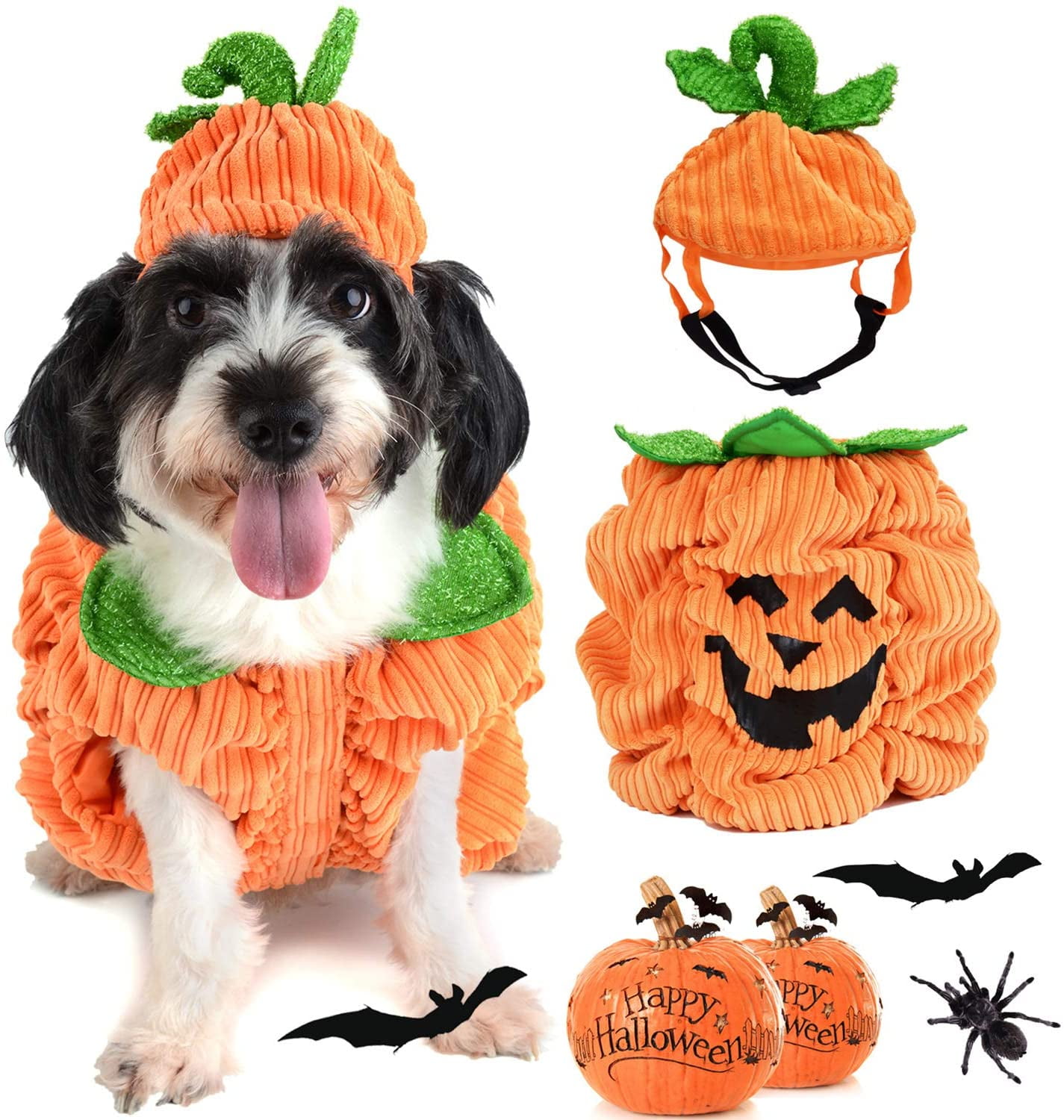 dog in a pumpkin costume