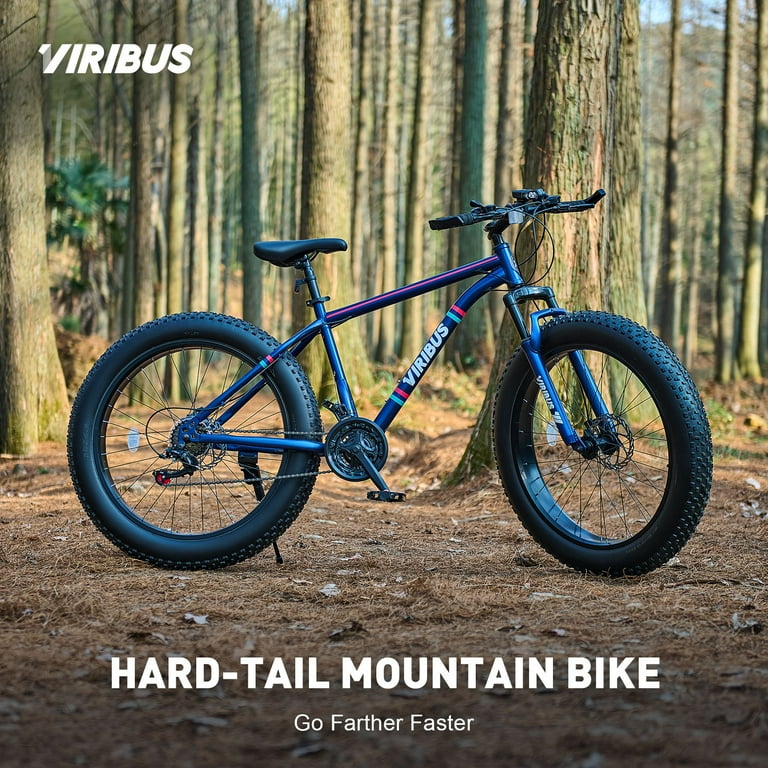 VIRIBUS 26