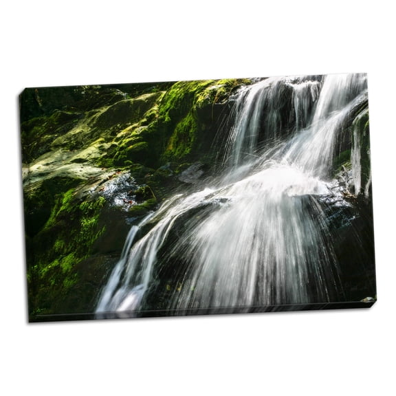 Gango Home Decor Dark Hollow Falls II by Alan Hausenflock (Ready to Hang); One 36x24in Hand-Stretched Canvas