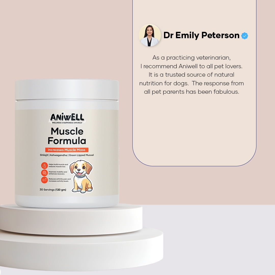 Aniwell Muscle Formula for Dogs: with Shilajit Ashwagandha and Green Lipped Mussel | Glucosamine Chondroitin Hip and Joint Support | Muscle Strength and Mobility