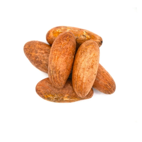 Organic Fresh Bitter Kola - 8oz, Natural Garcinia Kola  Kola Nut