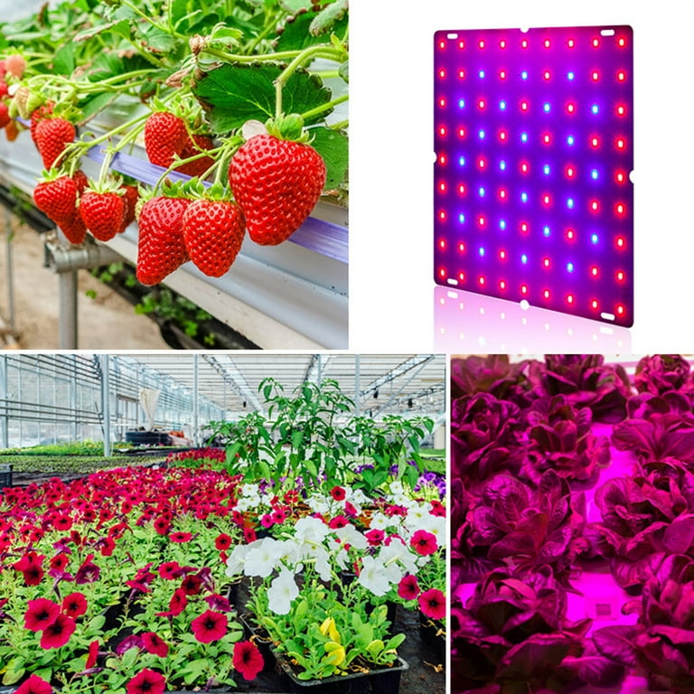 NAILGIRLS LED Plant Grow Light Full Spectrum, 1000W Dual Switch Veg/Bloom  Daisy Chain Plant Grow Heat Lamp with Temperature Hygrometer for Indoor