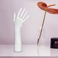 thumbnail image 1 of Jewelry Hand Display Holder Female Mannequin Hand Decoration Bracelet Bangle Necklace Holder for Countertop Shows Showcase Photograph Props White Long, 1 of 10