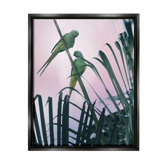 Stupell Industries Tropical Parakeets Pink Sky Animals & Insects Photography Black Floater Framed Art Print Wall Art