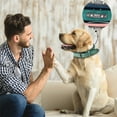 thumbnail image 4 of Padded PU Leather Dog Collar,Breathable Heavy Duty Dog Collar Leather With Adjustable -Proof Metal Buckle For Small Medium Large Dogs(XS,Turquoise), 4 of 4