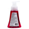 thumbnail image 3 of Equate Energy Berry Foaming Hand Soap, 221 ml, 3 of 7