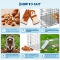 thumbnail image 5 of Live Animal Trap Cage for Raccoons, Stray Cats, Rabbits, Skunks, Groundhogs – Large Humane 2-Door Collapsible Steel with Sensitive Trigger & Carry Handle, 5 of 8
