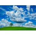 thumbnail image 2 of Frank, Krahmer 24x18 White Modern Wood Framed Museum Art Print Titled - Oak and clouds, Bavaria, Germany, 2 of 4