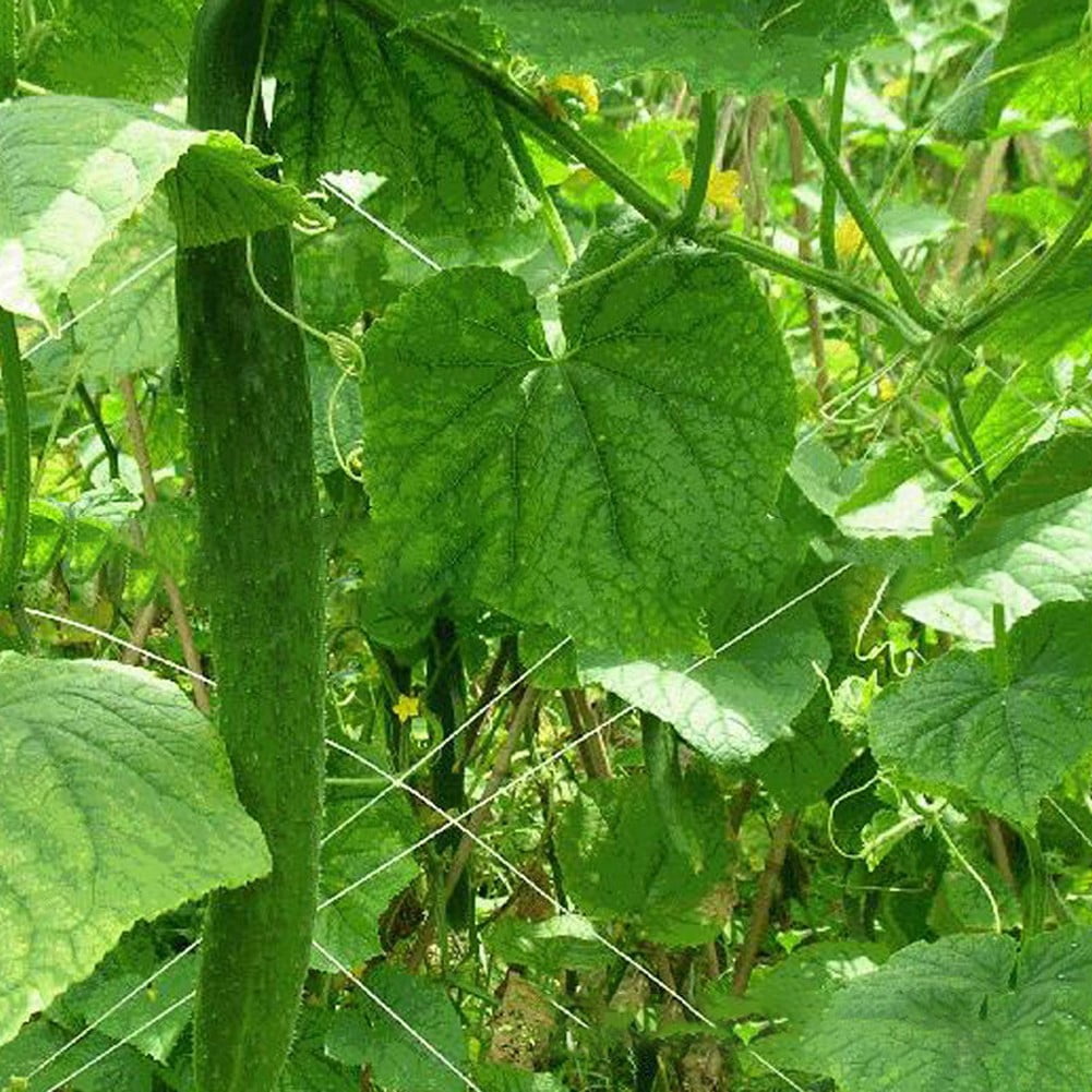 SPRING Garden Trellis Netting Compact Gardening Areas Durability Under Sunlight