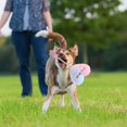 thumbnail image 3 of Soumake Interactive Squeaky Dog Toy Built-in Sound Bite Resistant Teeth Grinding Relieve Boredom Squeaky Chew Toy for Dogs, 3 of 8