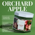 thumbnail image 2 of Scentworx 14.5 oz Orchard Apple 3-Wick Jar Candle by Slatkin & Co, 2 of 6