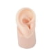 thumbnail image 4 of Modelo de oreja de silicona, modelo de oreja real artificial, textura delicada, entrenamiento flexible. Derecha, 4 of 9