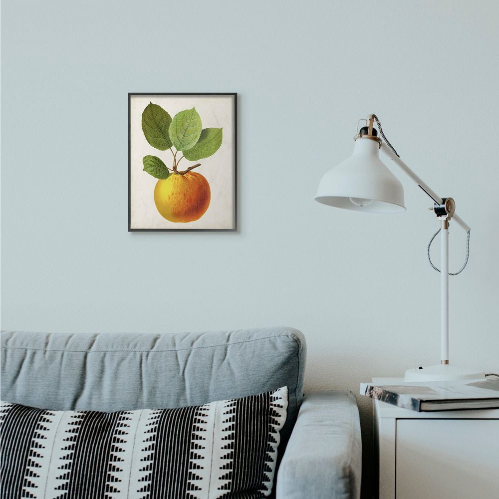 Stupell Industries Vintage Fruit Apple Painting Framed Giclee Texturized Art by Vision Studio