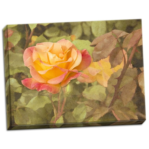 Gango Home Decor Sunset Rose by George Johnson (Ready to Hang); One 24x18in Hand-Stretched Canvas