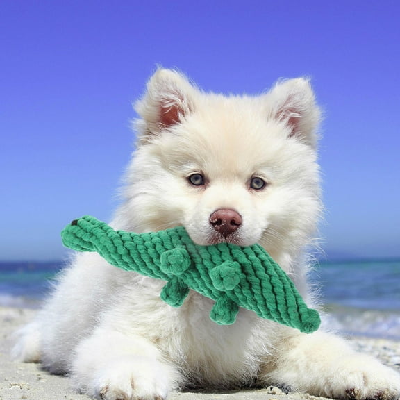 PAMINGONO Dinosaur Shape Pet Molar Toy 1 Puppies Teeth Cleaning and Chewing Relief