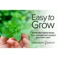 thumbnail image 3 of Peppermint Seeds, 3 of 7