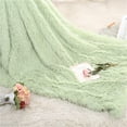 thumbnail image 4 of Bizhua Winter Warm Blanket, 120*80Cm, Greenshaggy Long Faux Fur Throw Blanket Fuzzy Lightweight Plush Sherpa Fleece, 4 of 6