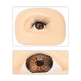 thumbnail image 4 of Herramienta de entrenamiento de sombras de ojos, simulación de modelos de cosméticos faciales, accesorio de práctica para principiantes, Ayudas para vestirse con gancho de botón Lado derecho Qarigey CE014517-02, 4 of 6