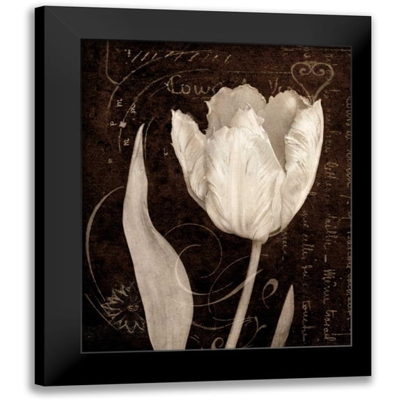 Melious, Amy 12x14 Black Modern Framed Museum Art Print Titled - Garden Architecture II
