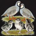 thumbnail image 3 of CafePress - Chukar Family Dark T Shirt - Men's Classic Graphic Cotton T-Shirt, 3 of 4