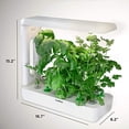 thumbnail image 6 of Ivation Herb Indoor Garden Kit, 16.7 x 6.2 x 15.2 in Hydroponic Grow System, with LED Light, 6 of 9