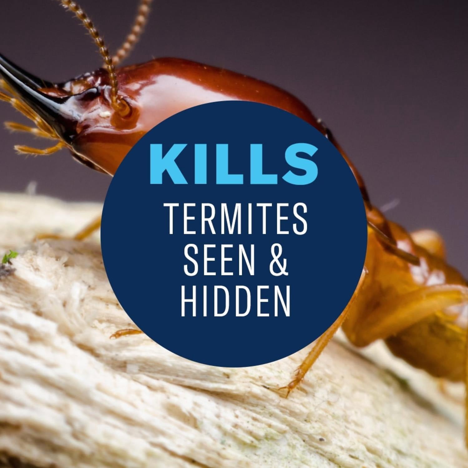 BioAdvanced Termite and Carpenter Bee Killer Plus, Foam, 18 oz (2-Pack)