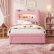 thumbnail image 2 of QinaQin Base de cama infantil matrimonial con luces LED, cabecera con almacenamiento y cajón, estación de carga USB y Type-C, diseño bajo, silencioso y resistente para niñas y niños, 2 of 7