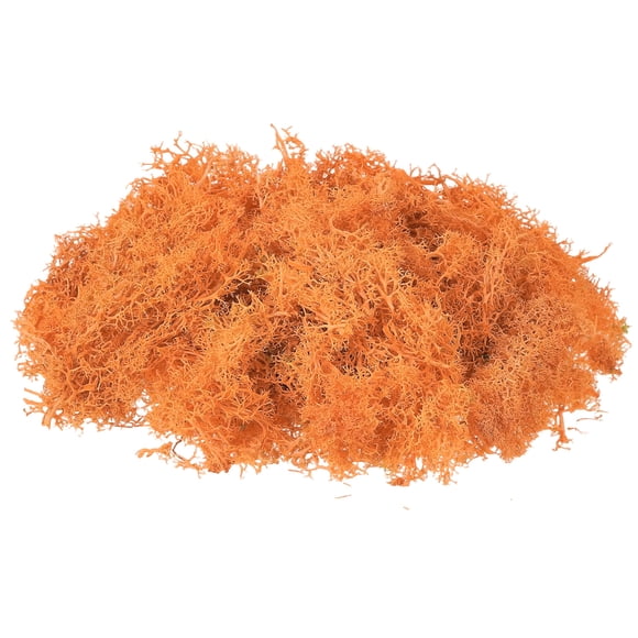 Uxcell 1 Pcs Preserved Reindeer Moss 17.6oz Fake Moss for Crafts Artificial Dried Moss for Decoration Orange
