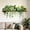 A, variant on Boho Artificial Green Plant Wall Stickers - 2 Pack Hanging Vine Shelf Decals, Self-Adhesive Removable Botanical Wall Decor for Living Room Bedroom
