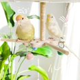 LAIQIEN Wooden Parrots Bells Toy Rotating Windmills Safe Chewable For ... - Cage Enrichment For Parrots