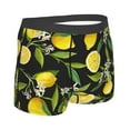 thumbnail image 3 of Bingfone Lemon Fruits Flowers Leaves Men'S Underwear - Casual Stretch Boxer Briefs-Medium, 3 of 9