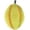 Green, variant on 27 cm Fake Lifelike Durian Artificial Fruit Home Party Shop Christmas Decoration
