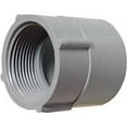 thumbnail image 1 of Thomas & Betts E942DR-CTN 0.5 in. PVC Conduit Female Adapter, 1 of 1