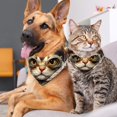 thumbnail image 4 of Cat Translucent Light and Breathable Chiffon Yarn Pet Collars (Pack of Two) - Sizes 40.6x40.6x58in and 53.3x53.3x76.2in, 4 of 5