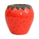 thumbnail image 1 of Yuarrent Jarrones de cerámica para arreglos florales, arte moderno, hidropónico, forma de fresa, botella, jarrón, decoración para sala de Suministros de cerámica y alfarería Rojo Medio, 1 of 6