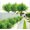 20 Pcs, variant on Outdoor Artificial Boston Fern Plants Bushes Faux Plants Shrubs Greenery UV Resistant for House Office Garden Décor