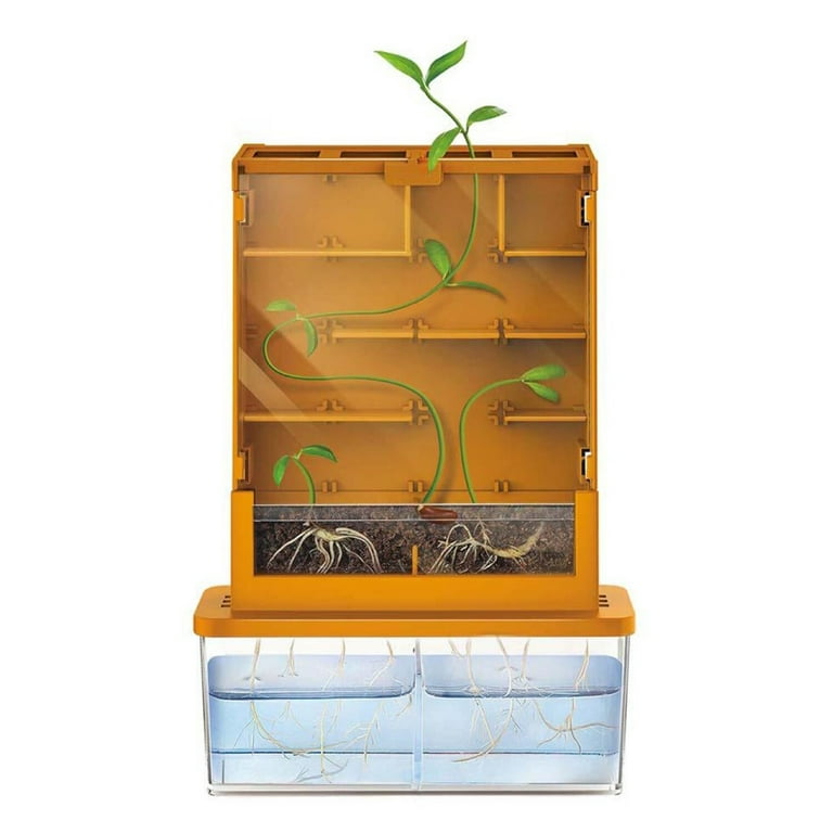 4M: Green Science - Grow-A-Maze - DIY Mini Plant Growth Lab