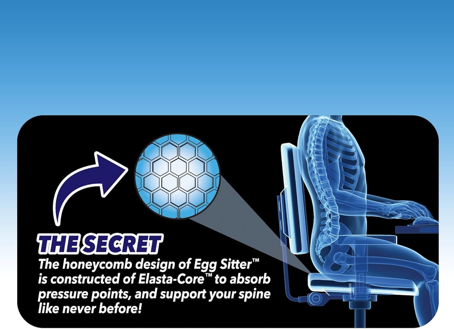 BulbHead Egg Sitter Seat Cushion with Non-Slip Cover, Breathable Honeycomb Design Absorbs Pressure Points