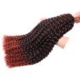 thumbnail image 1 of Passion Twist-extensiones de pelo de ganchillo con ondas al agua, extensiones de cabello trenzado ombré bohemio, 14, 18, 20 y 24 pulgadas, 1 of 4