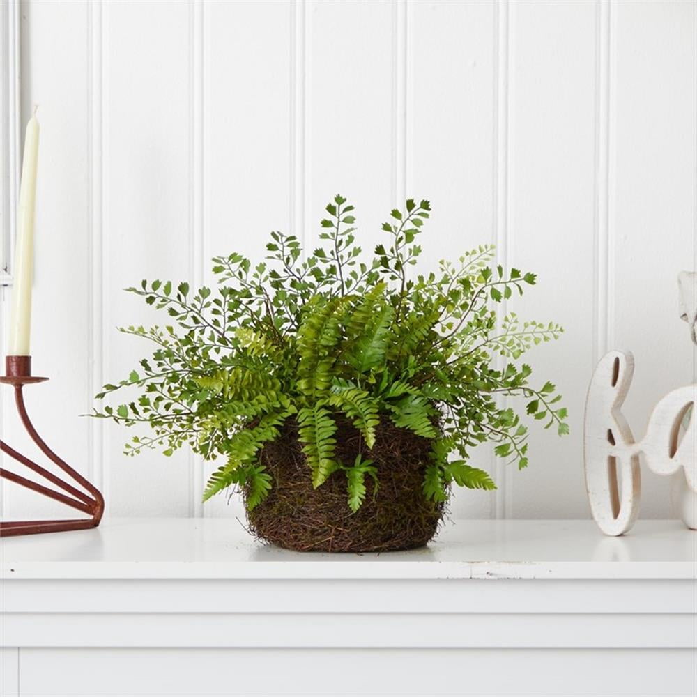 Pemberly Row Mixed Fern with Twig and Moss Basket in Green/Brown