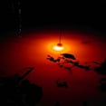 thumbnail image 5 of Mini LED Underwater Night Fishing Light Glowing Lure for Attracting Bait and Fish Fishing Lures Supplies, 5 of 7