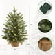 thumbnail image 2 of Árbol de Navidad Artificial Preiluminado de 45 Cm con Luces Led Blancas Cálidas | Batería y Control Remoto | Ramas Verdes Realistas En Cesta Tejida | Decoración Navideña de Mesa, 2 of 5