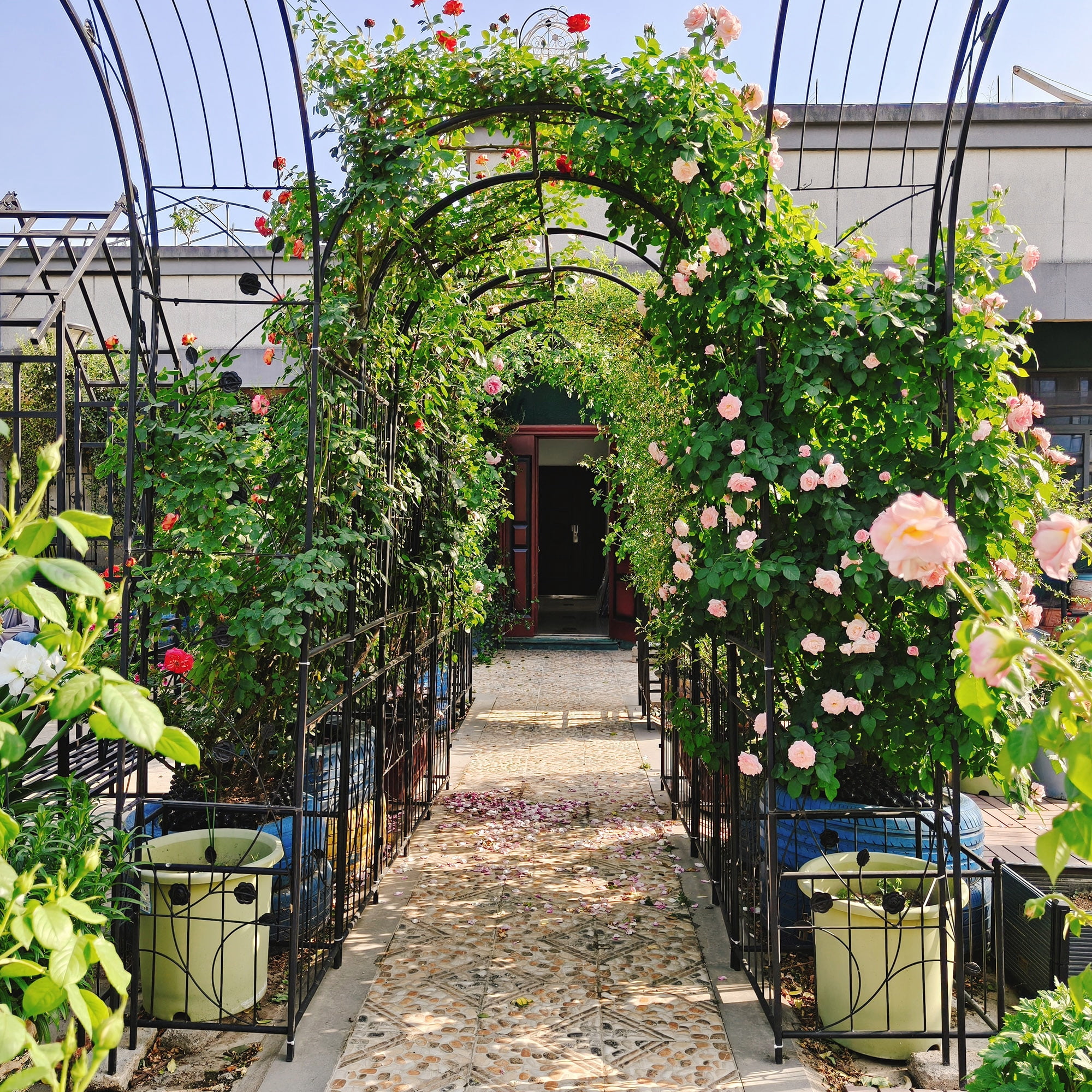 Metal Garden Arch with Plant Stands 79.5" Wide x 86.6" High Climbing Plants Support Rose Arch Outdoor Black