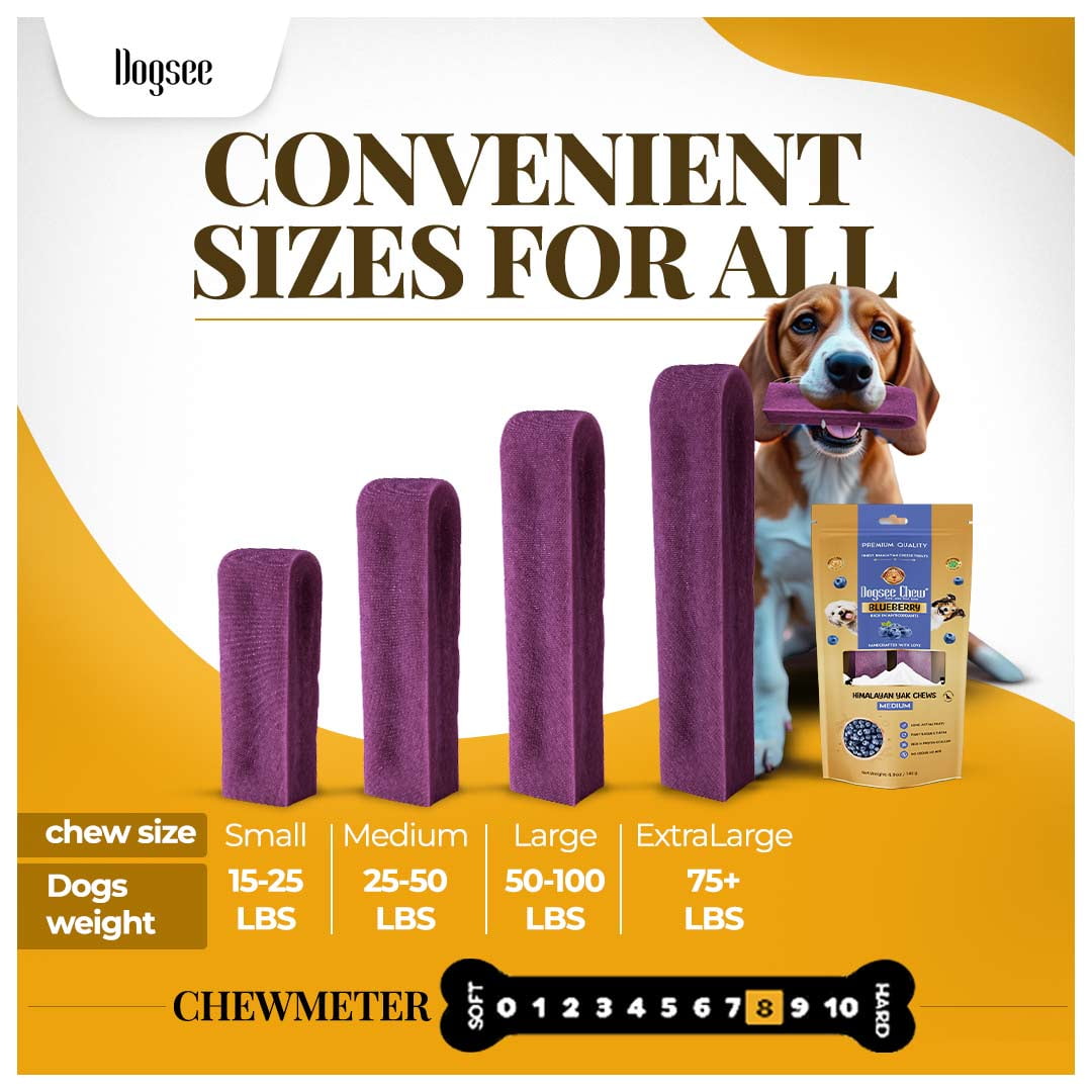 Dogsee Blueberry Flavor Himalayan Yak Cheese Dental Chews for Dogs - (Medium 6)| Dog Treats Healthy | Cleans Teeth & Freshens Breath | No Grain, No Gluten | Dog Chews Rawhide Free