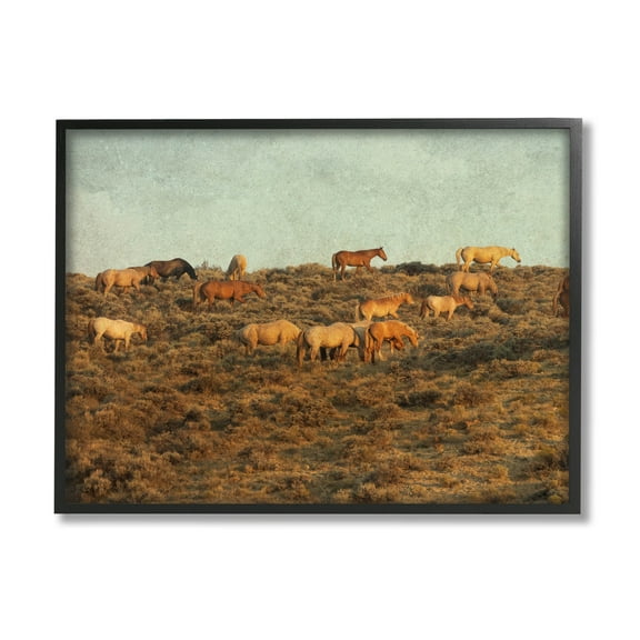 Stupell Industries Rural Horses Grazing Photograph Black Framed Art Print Wall Art, Design by Jan Walters